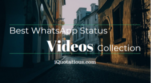 Best WhatsApp Status Video Collection - WhatsApp Status Videos