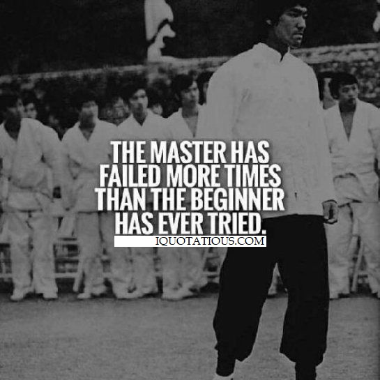 The master has failed more times than the beginner has ever tried.