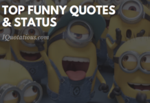 Top Funny Status and Quotes - Laugh out Louder Funny Quotes