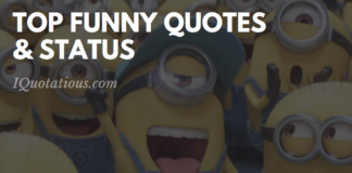 Top Funny Status and Quotes - Laugh out Louder Funny Quotes