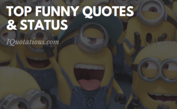 Top Funny Status and Quotes - Laugh out Louder Funny Quotes