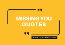 Top Missing You Quotes, I Miss You Quotes Collection