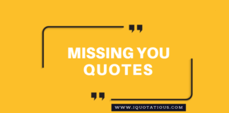 Top Missing You Quotes, I Miss You Quotes Collection