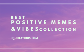best positive memes and positive vibes - positive quotes collection