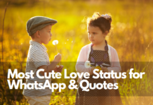 most cute love status for whatsapp love quotes