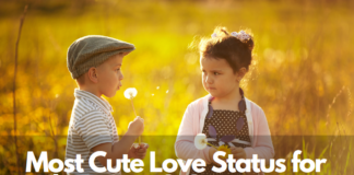 most cute love status for whatsapp love quotes