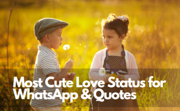 most cute love status for whatsapp love quotes